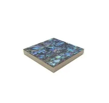 50mm x 50mm Paua Shell Tile