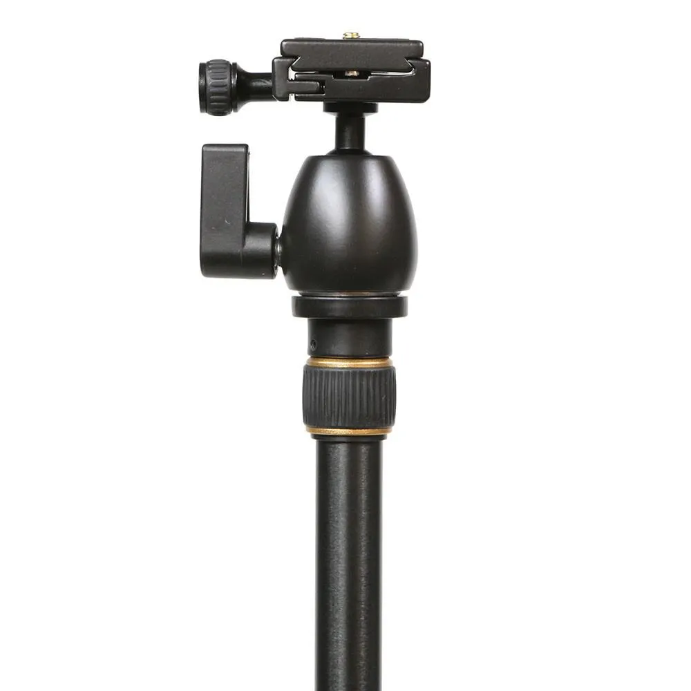 Beike Convertible Professional Traveller Folding Monopod/ Tripod with Ball Head (QZSD-555)