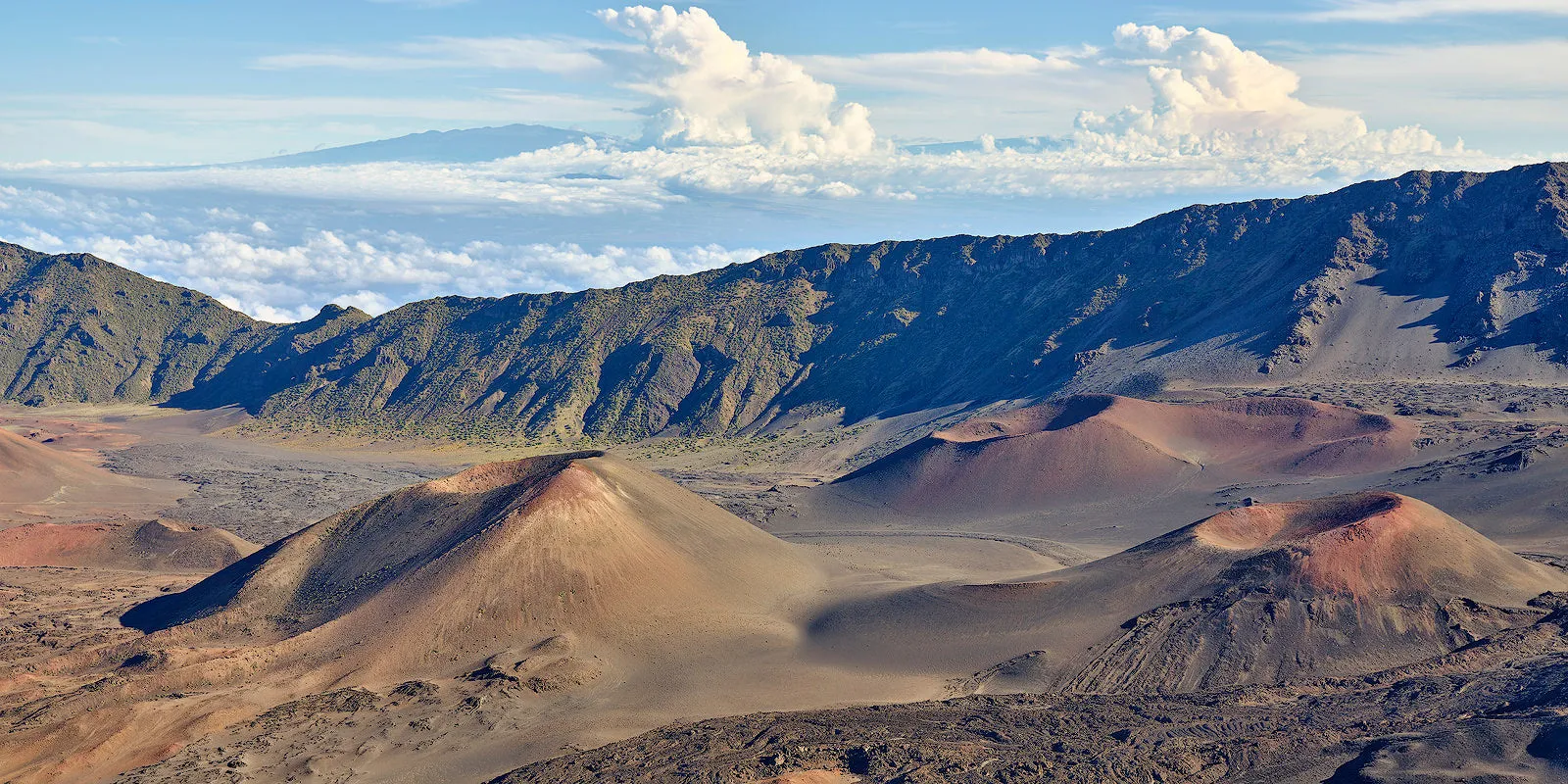 Crater to Crater by Andrew Shoemaker