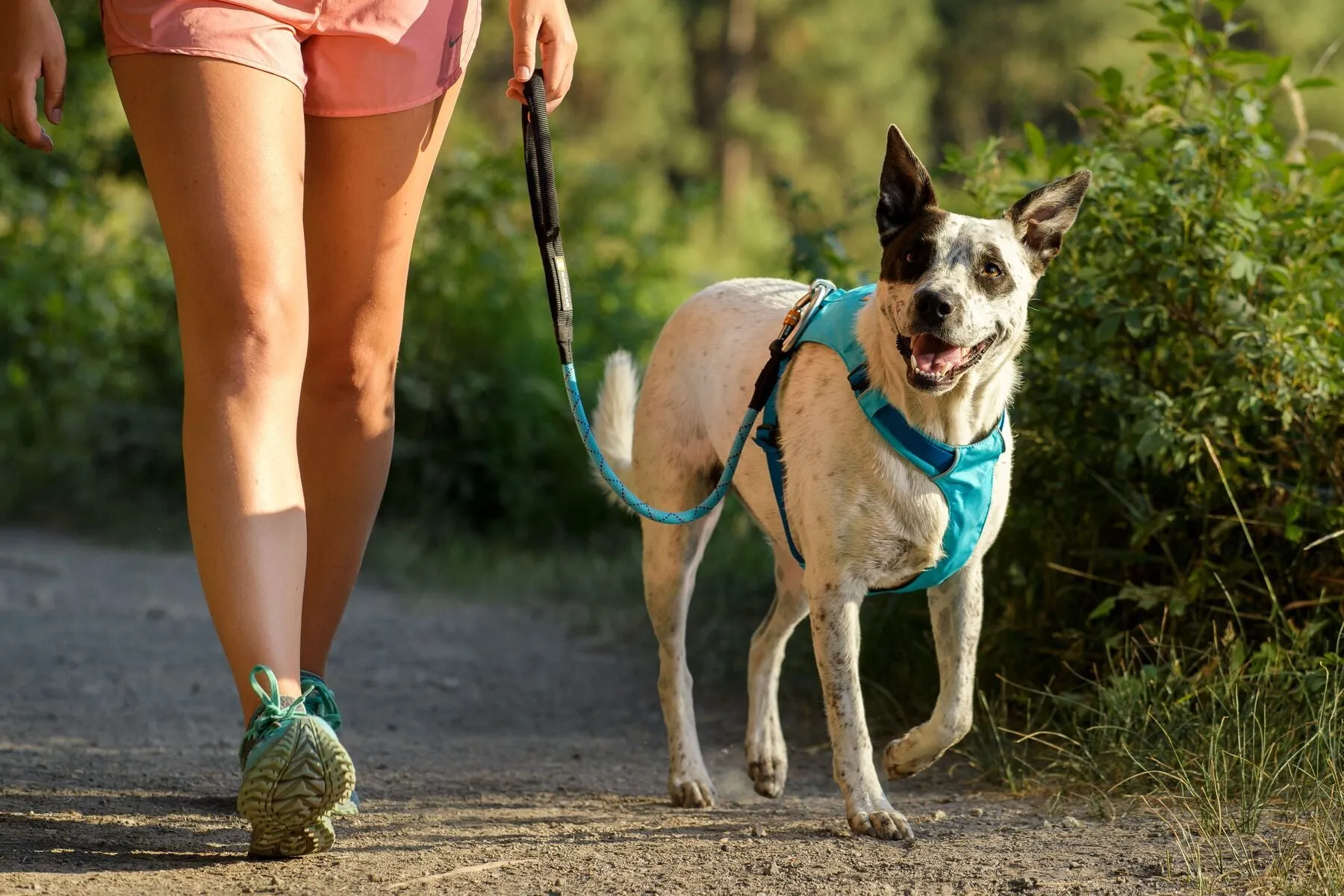 Hi & Light™ Lightweight Dog Harness