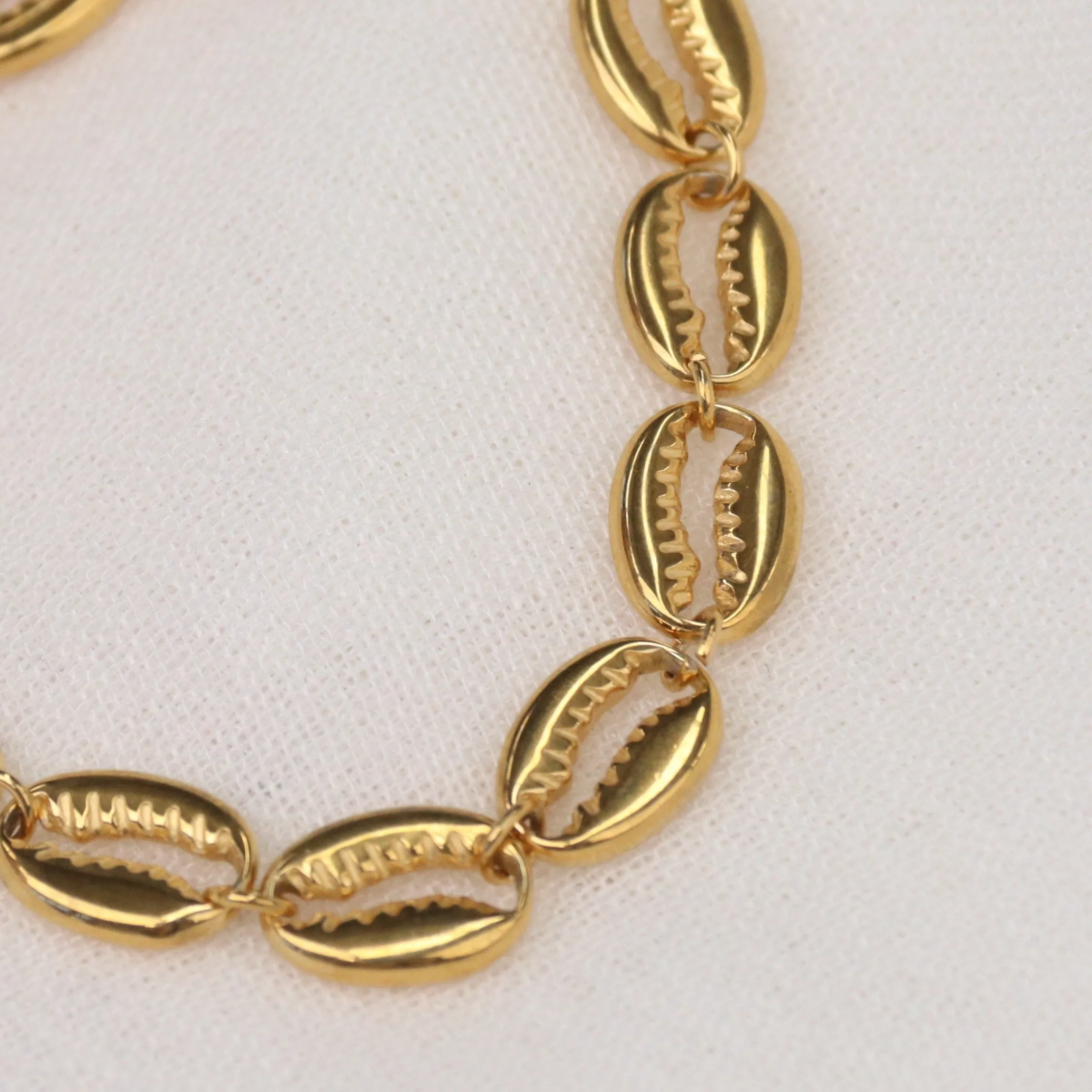 Loz | Stainless Steel 18K Gold Plated Cowrie Shell Bracelet