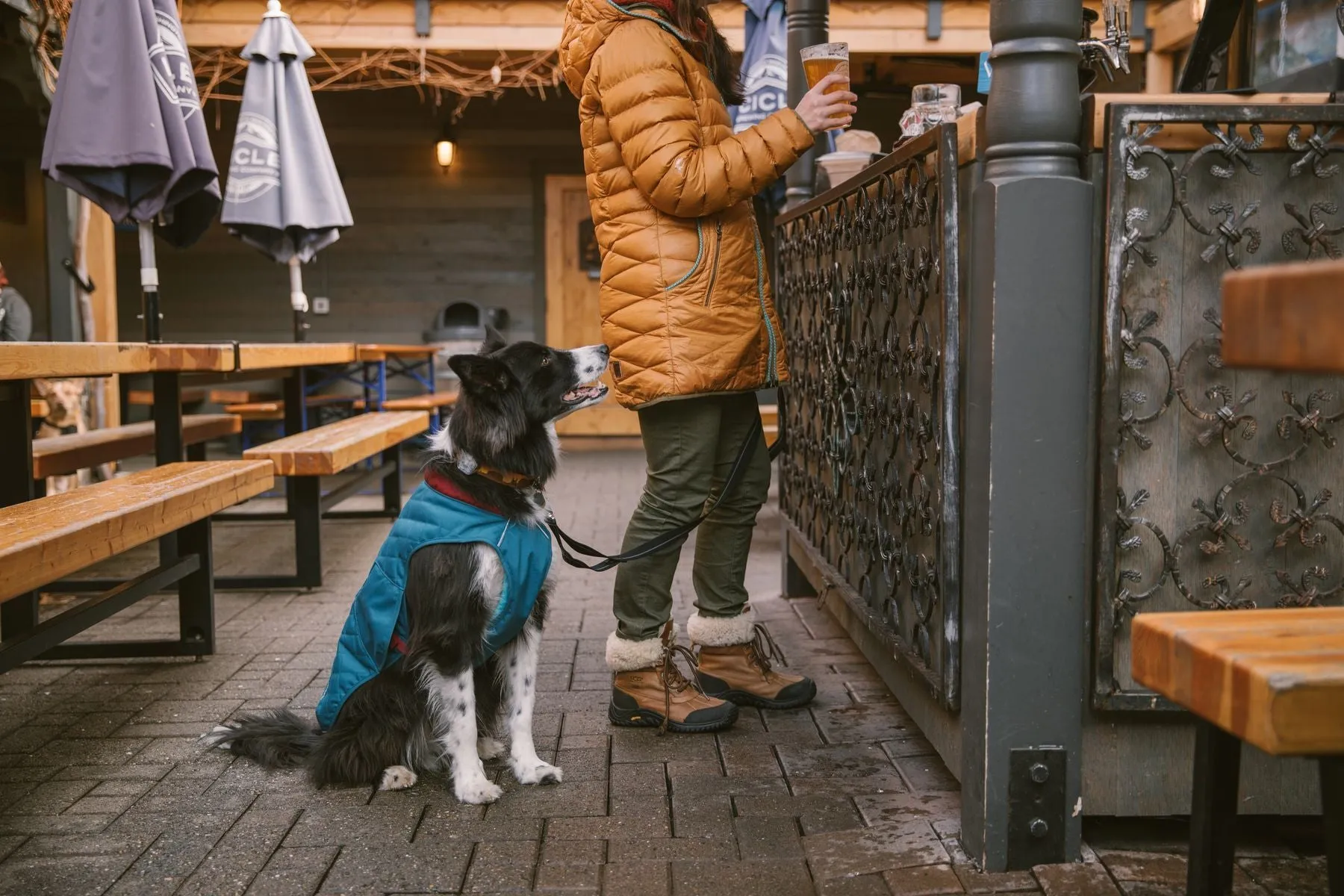 Stumptown™ Quilted Dog Coat