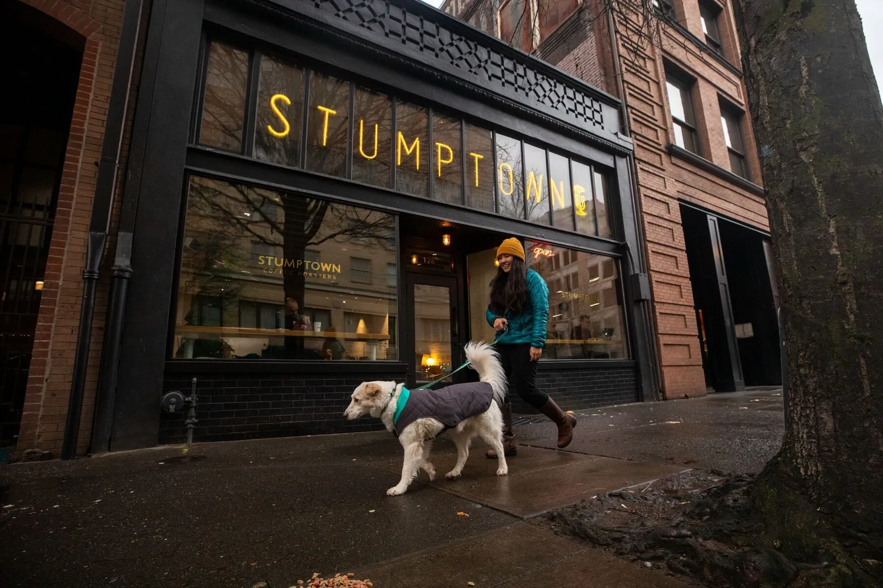 Stumptown™ Quilted Dog Coat