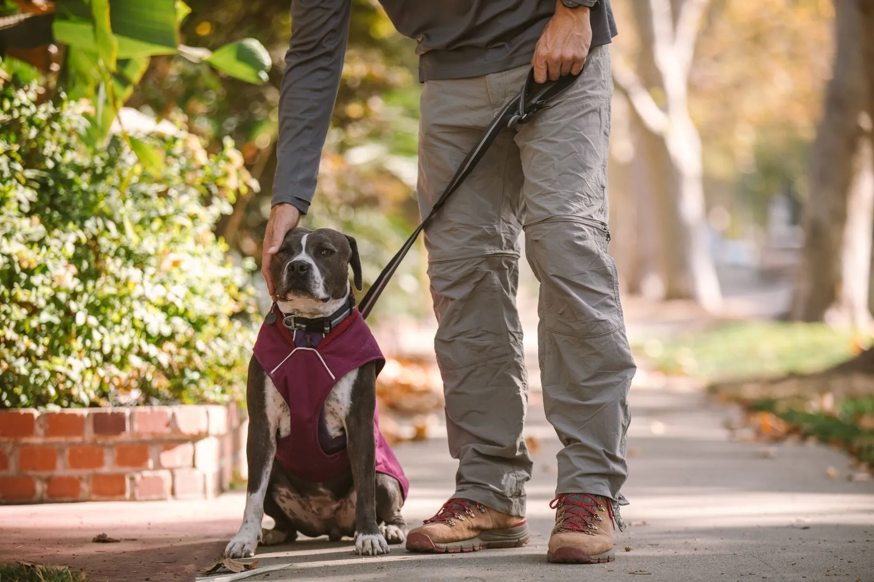 Stumptown™ Quilted Dog Coat